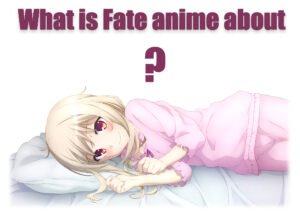 What is fate anime?