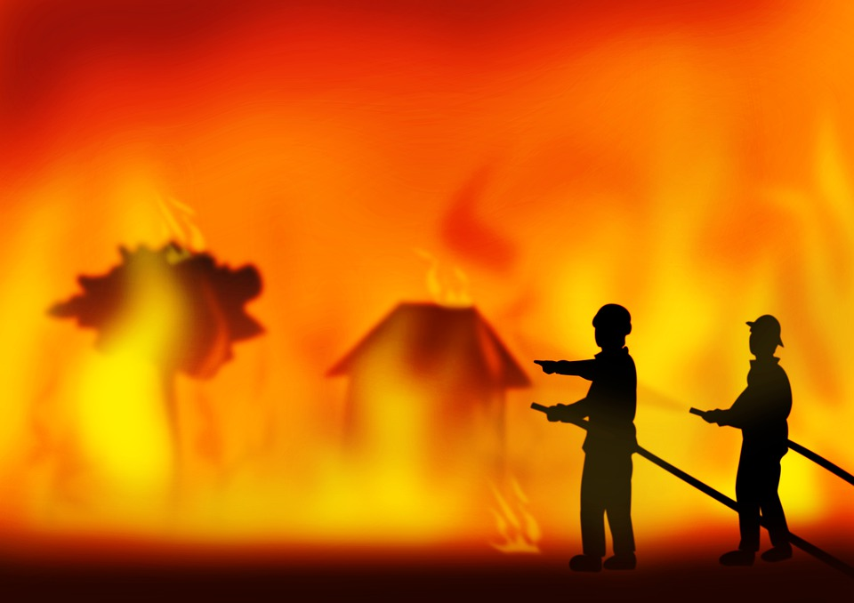Was 2020 the worst Year? Here’s a Quick Review of What happened in 2020: 6 Bushfire in Australia