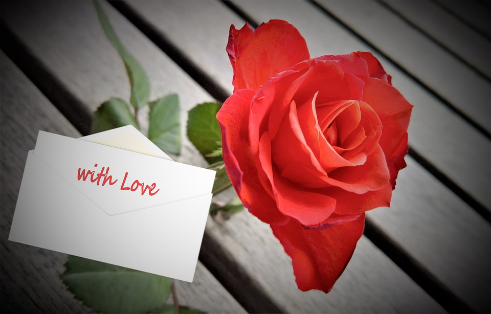 Greeting Card Gifts for new year