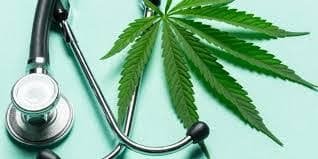 Medical Marijuana For Manufacturing Medicine And Where To Buy It Online Legally? 1 CBD