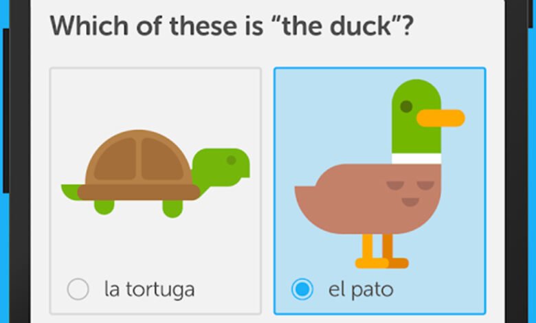 How Gamified Quizzes, Learning Games & Apps Help Kids Learn Better 1 Duolingo best language learning apps for android