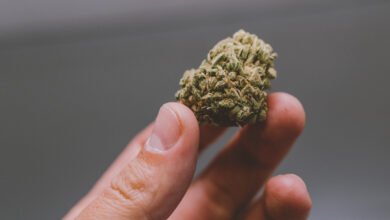 weed