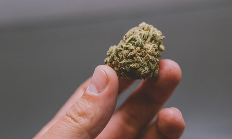 Hallmarks of Top-Shelf Flowers that Every Weed Buyer should know 1 weed