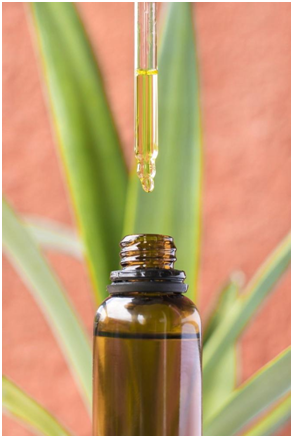 5 Health Benefits of CBD For Seizures 3 image 24