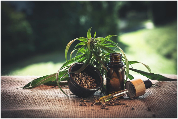 5 Health Benefits of CBD For Seizures 2 image 26