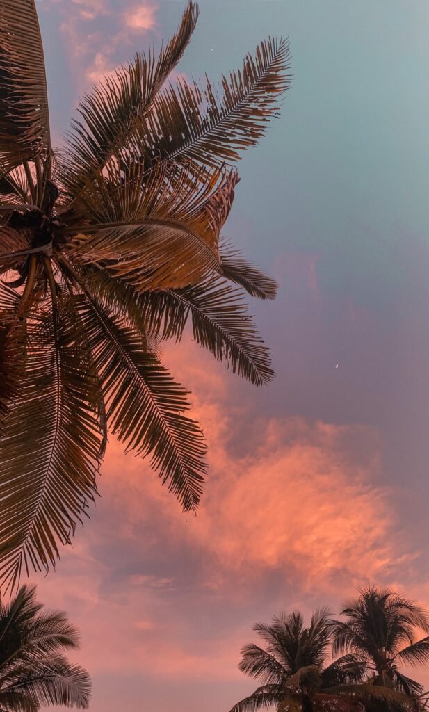 Which Aesthetic Is Your Favorite among the Most Popular on the World wide web? 2 Aesthetic