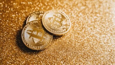 close up photo of gold coins